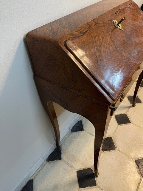 Dos d'âne Louis XV Desk In Rosewood