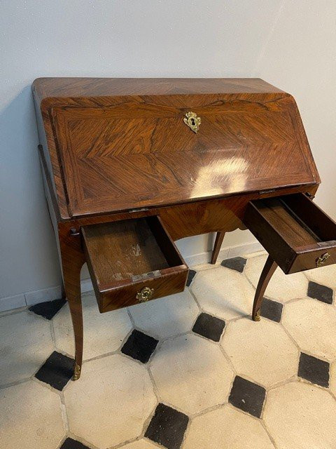 Dos d'âne Louis XV Desk In Rosewood