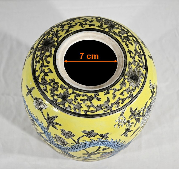 Vase aux Deux Dragons, en Porcelaine de Chine, Dynastie Qing – XIXe