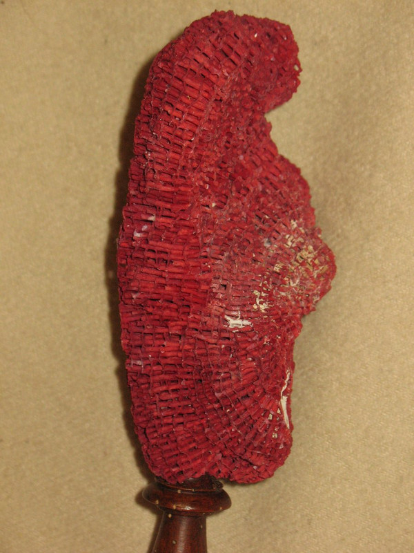 Grande corallo rosso Tubipora montato su una base di legno mobile di curiosità