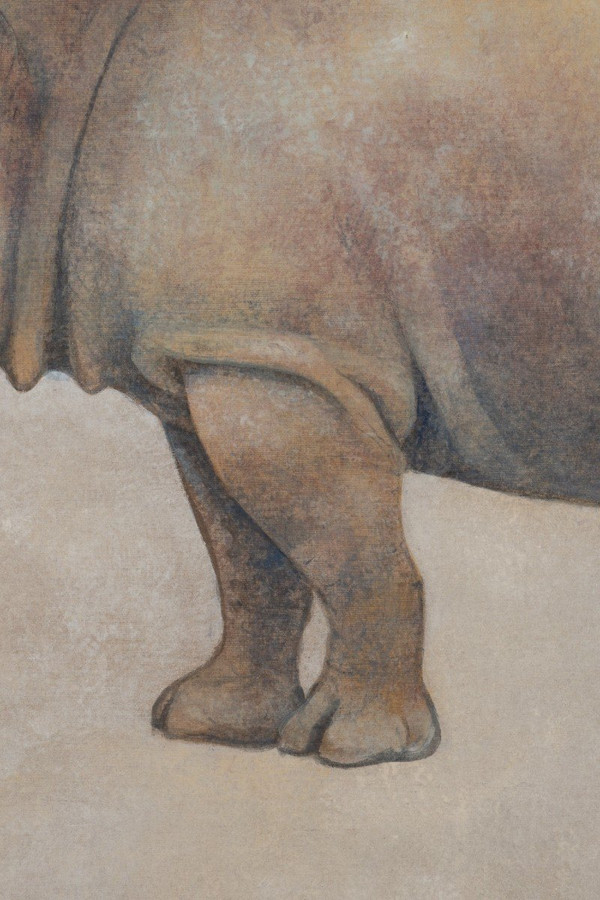 Painted Canvas, Rhinoceros, Contemporary Work, LS56421351A