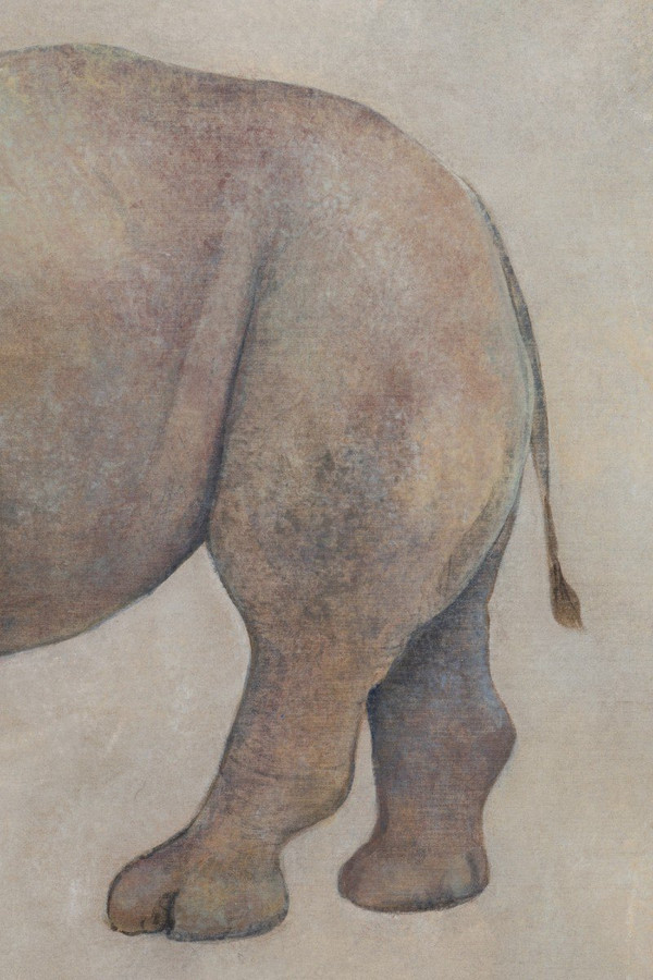 Painted Canvas, Rhinoceros, Contemporary Work, LS56421351A