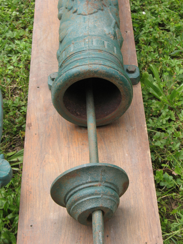 Wasserpumpe aus Gusseisen 19. Jahrhundert Marke Chappée mit Delphin und Pflanzen Dekor h: 140 cm