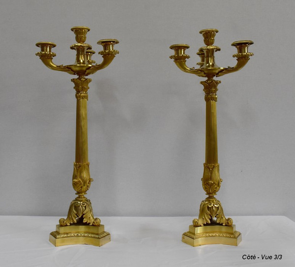 Pair of Gilded Bronze Candelabras, Louis-Philippe period - Early 19th century