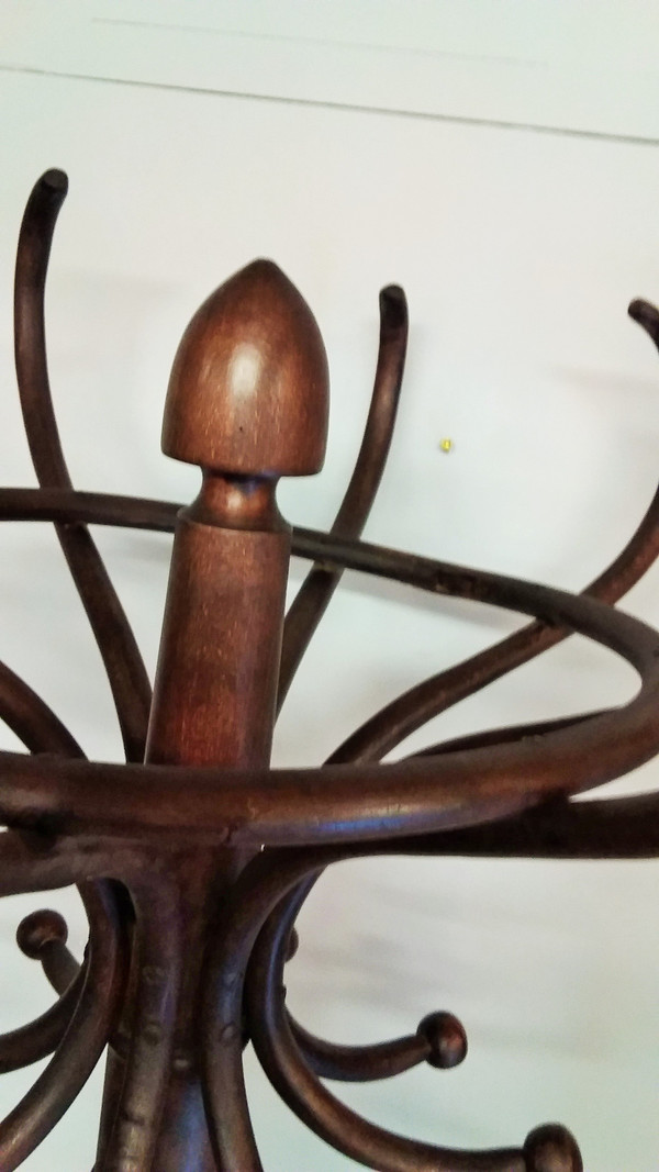 Parrot model beech coat rack in dark bentwood with eight hooks Thonet style early 20th century high 195 cm