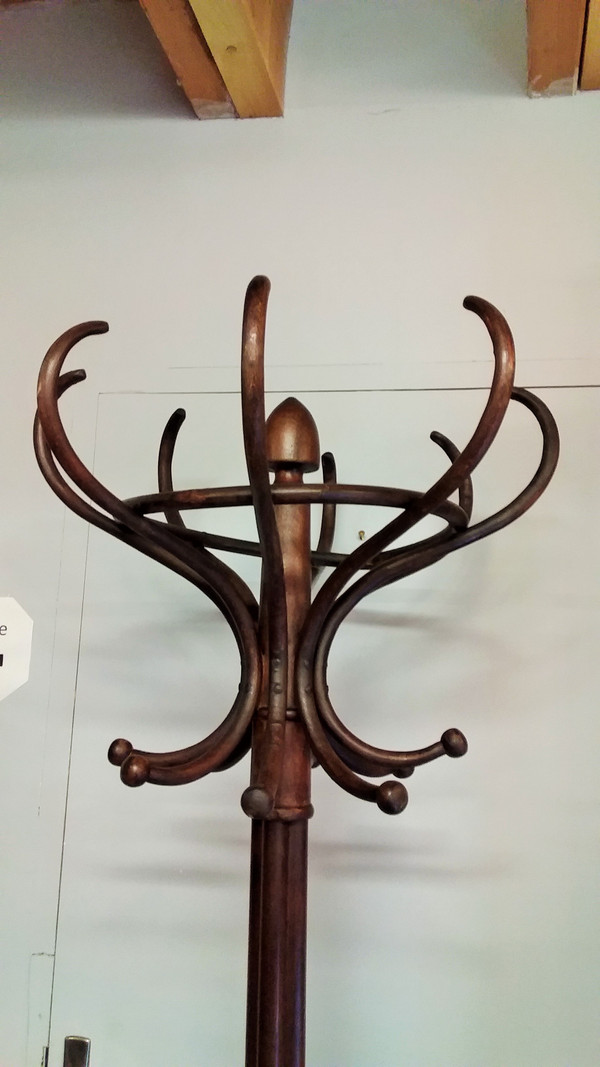 Parrot model beech coat rack in dark bentwood with eight hooks Thonet style early 20th century high 195 cm