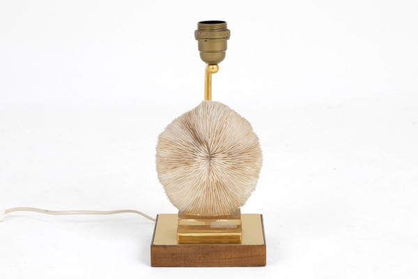 Lampe aus Korallenpilzen, Pilzen und goldenem Messing, 1970er Jahre – Ls382481