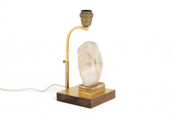 Lampe aus Korallenpilzen, Pilzen und goldenem Messing, 1970er Jahre – Ls382481