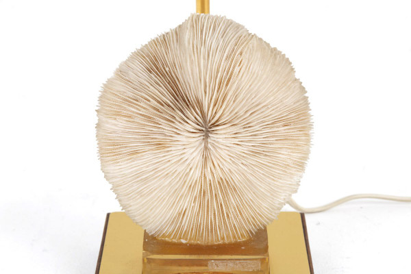 Lampe aus Korallenpilzen, Pilzen und goldenem Messing, 1970er Jahre – Ls382481