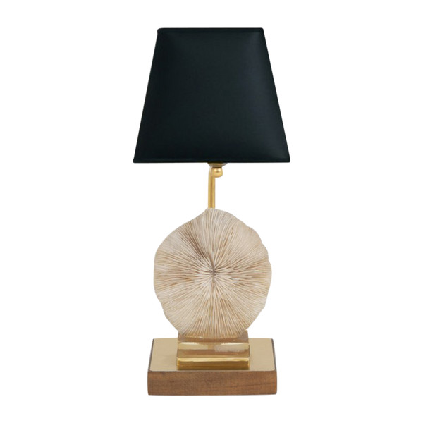 Lampe aus Korallenpilzen, Pilzen und goldenem Messing, 1970er Jahre – Ls382481