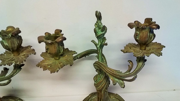 Pair of Louis XV style candlesticks in green patina bronze late 19th