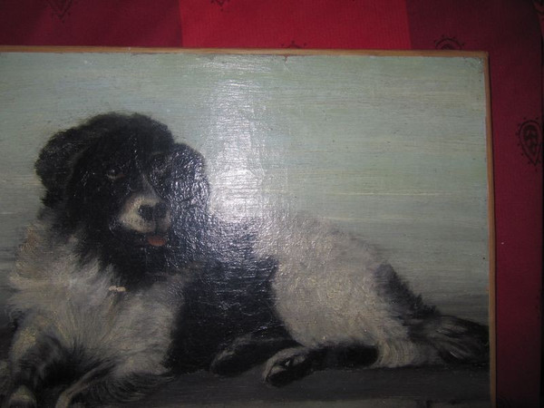 Tableau Huile sur toile chien sur bord de jeter signé F.Lardet