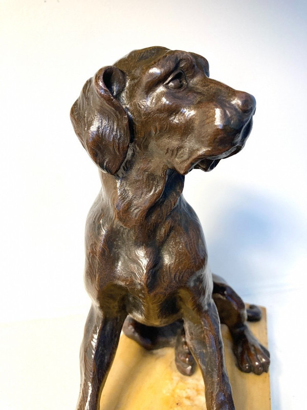 Scultura in bronzo patinato di un cane seduto, scuola francese del XIX secolo