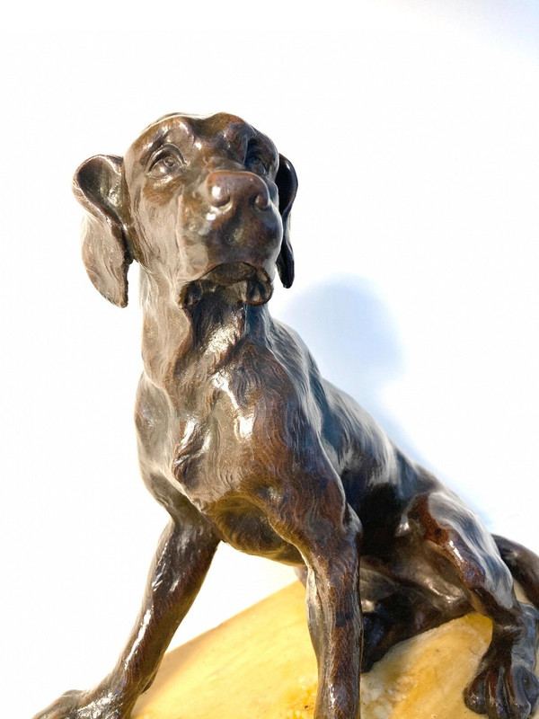 Scultura in bronzo patinato di un cane seduto, scuola francese del XIX secolo