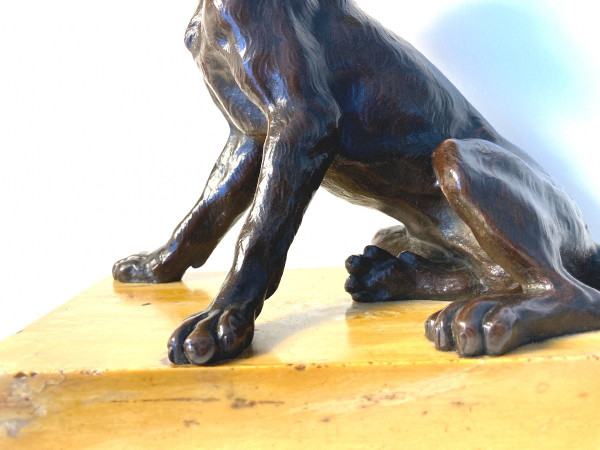 Scultura in bronzo patinato di un cane seduto, scuola francese del XIX secolo