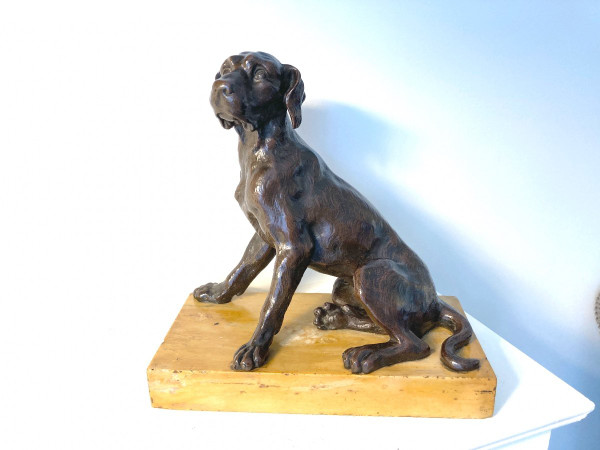 Scultura in bronzo patinato di un cane seduto, scuola francese del XIX secolo