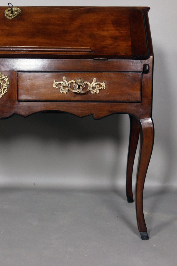 Donkey's Back Desk In 18th Century Walnut