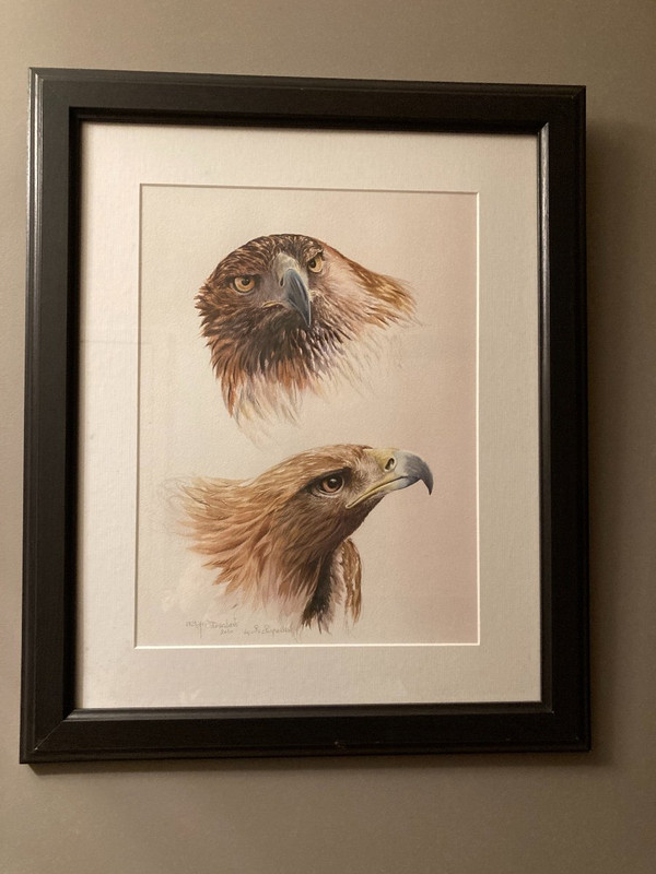 Watercolor with two royal eagle heads signed Philippe Varnardois