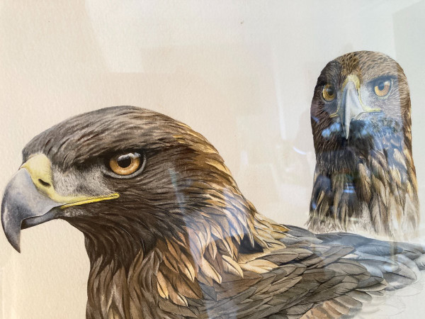 Watercolor with Two Royal Eagle Heads Signed Philippe Varnardois