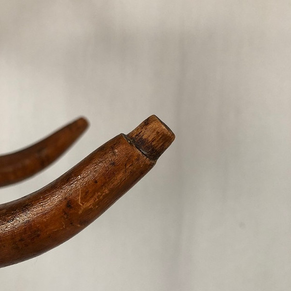 Parrot coat rack, curved wood, art nouveau period (Jacob & Josef Kohn?)