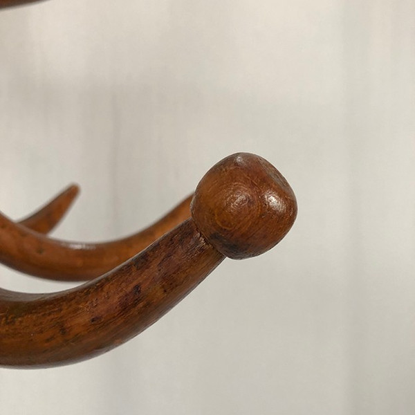 Parrot coat rack, curved wood, art nouveau period (Jacob & Josef Kohn?)