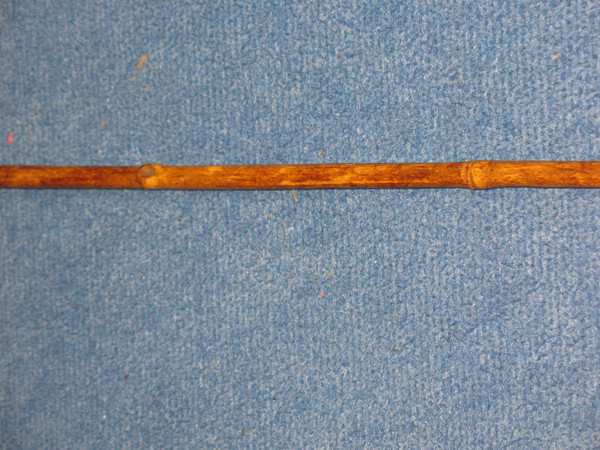 Cane with knob in the shape of a greyhound dog's head, late 19th century