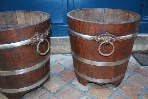 Pair Of Crates With Orange Trees, England XIX