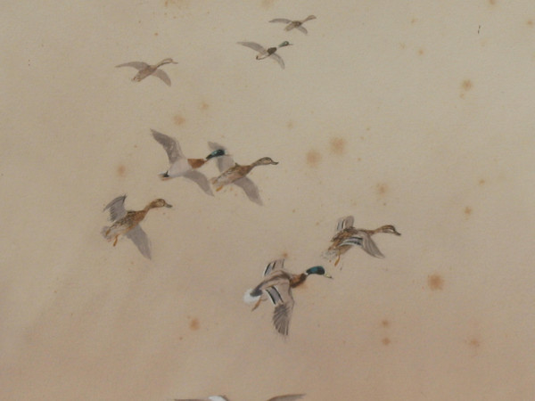 Watercolor signed by Roland Green ducks in the marshes, 20th century