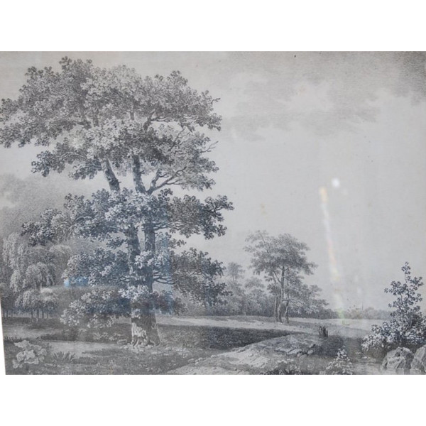 Large Drawing Landscape And Trees Signed By Wartel, 19th Century Empire Period