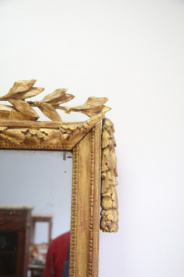 Mirror In Golden Wood, Louis XVI Period