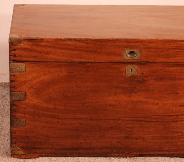 Large Marine Chest In Camphor Wood From The 19th Century