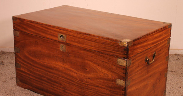 Large Marine Chest In Camphor Wood From The 19th Century