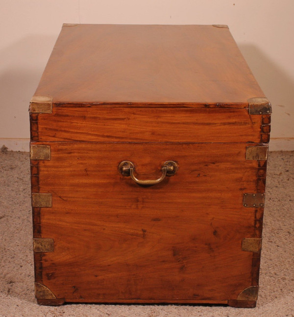 Large Marine Chest In Camphor Wood From The 19th Century