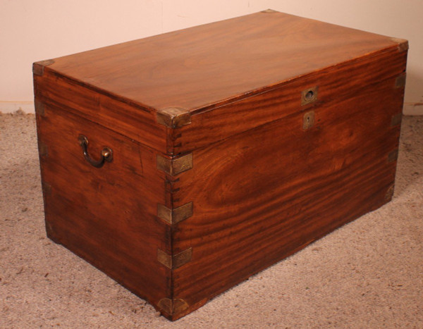 Large Marine Chest In Camphor Wood From The 19th Century