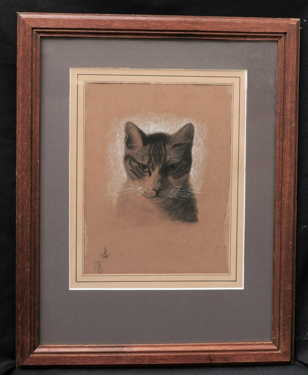 Attributed to Jules LAURENS, Head of a cat