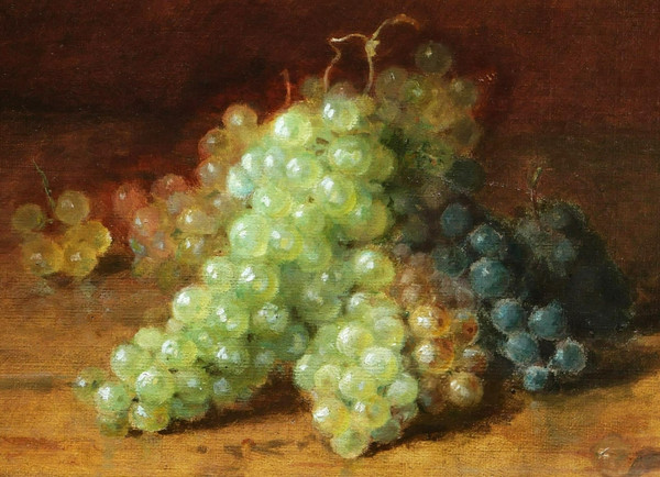 Amédée GENIN, Bunches of grapes