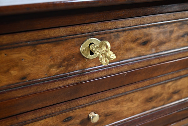 Small Chest of Drawers in Cuban Mahogany, Louis XVI Style - 1st Part XIX