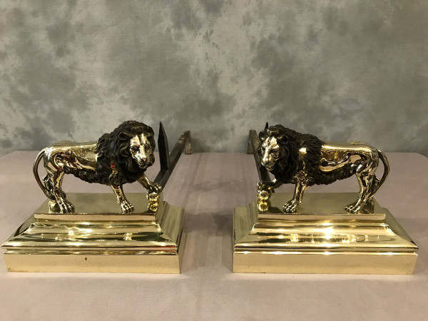 Pair Of Antique Bronze Andirons From The 19th Century Model With Lions