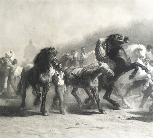  Il mercato dei cavalli Grande incisione secondo Rosa Bonheur incisa da Thomas Landseer