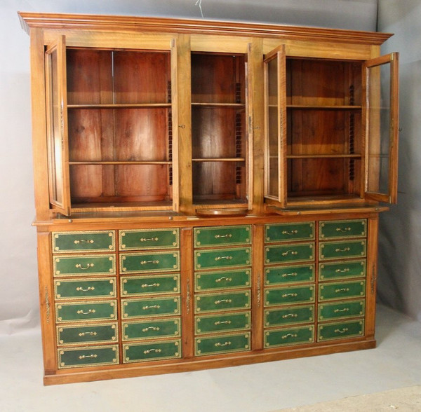 Important 19th Century Mahogany Cartonnier Library