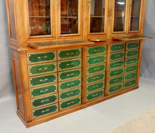 Important 19th Century Mahogany Cartonnier Library