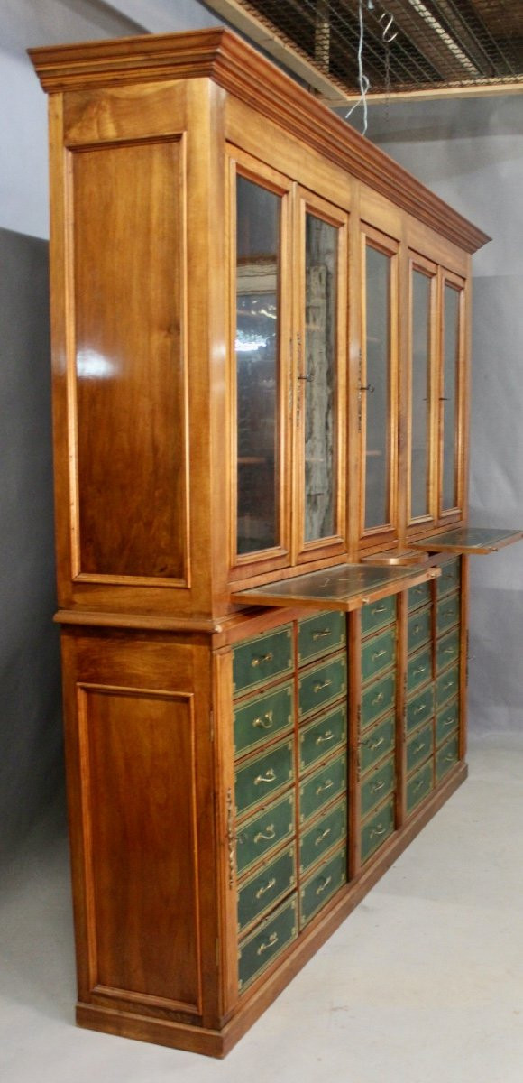 Important 19th Century Mahogany Cartonnier Library