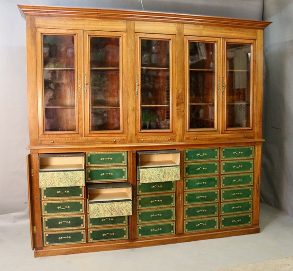 Important 19th Century Mahogany Cartonnier Library