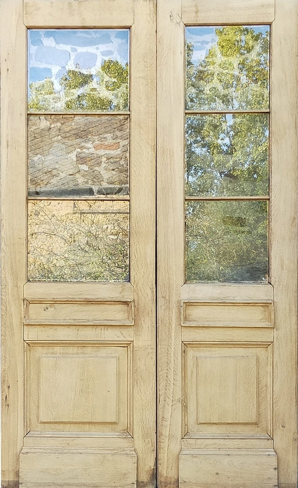 Vecchia Porta D'ingresso In Vetro Di Rovere Con Due Ante