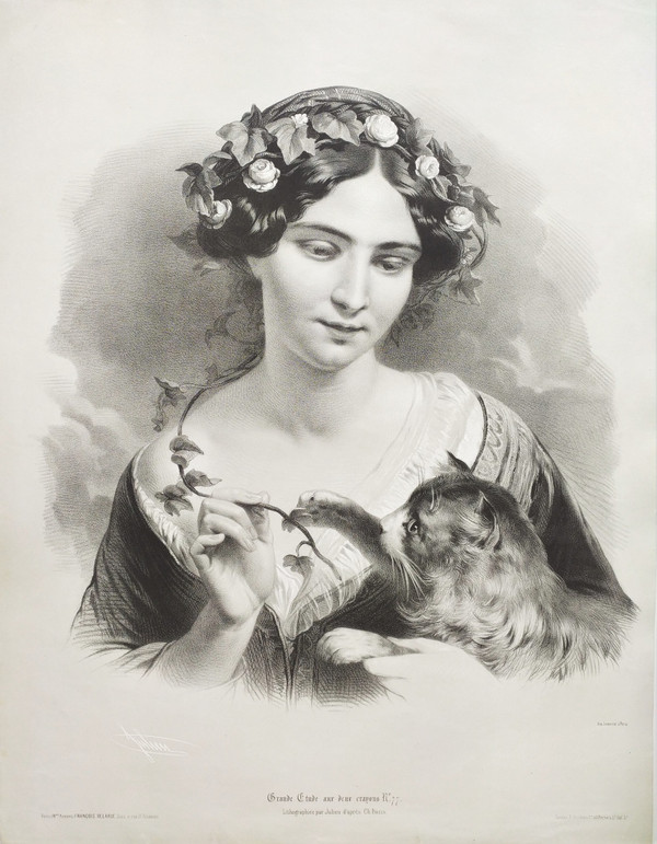 Portrait of a Lady With Cat Lithograph By Julien 19th c Old Print