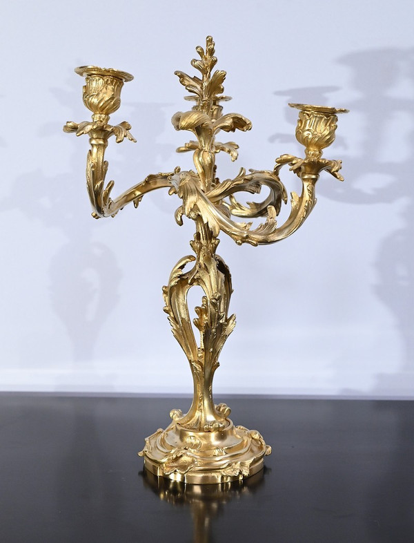 Pair of Gilt Bronze Candelabra, Louis XV style – Late 19th century