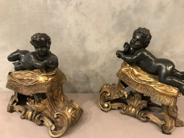 Antique gilded and patinated bronze andirons from the 19th century