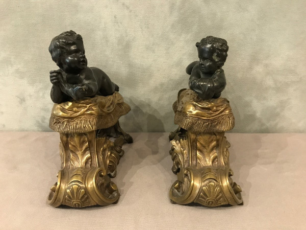 Antique gilded and patinated bronze andirons from the 19th century