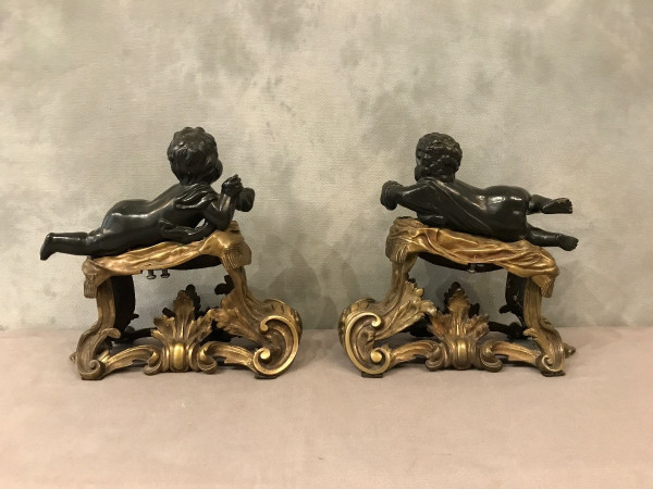 Antique gilded and patinated bronze andirons from the 19th century