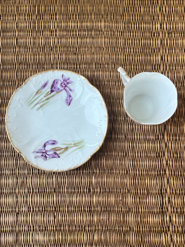 Tasse et sous-tasse en porcelaine de Limoges (Début du 20e siècle) - Motif d'iris